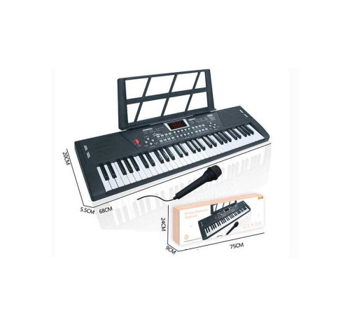 Синтезатор R 674 (10) в коробці