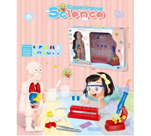 Набір лікаря W 604 (24) світло, лялька-людина, органи, 14 аксесуарів, мікроскоп, пробірки, захисні окуляри, в коробці – в наличии! Купите сейчас у KAZKOVA