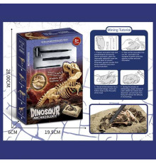 Розкопки KL 44 (60) гіпсовий блок, інструменти, в коробці