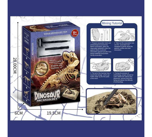 Розкопки KL 44 (60) гіпсовий блок, інструменти, в коробці