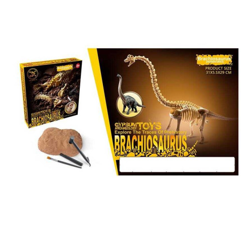 Розкопки 129-11 (48) інструменти, гіпсовий брикет, в коробці