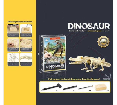 Розкопки CH 1301-1 (60) гіпсовий брикет, набір інструментів, в коробці