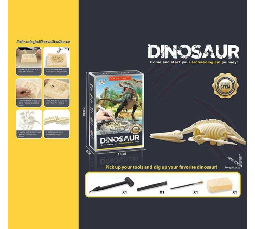 Розкопки CH 1301-3 (60) гіпсовий брикет, набір інструментів, в коробці