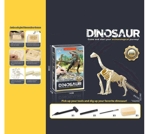 Розкопки CH 1301-7 (60) гіпсовий брикет, набір інструментів, в коробці