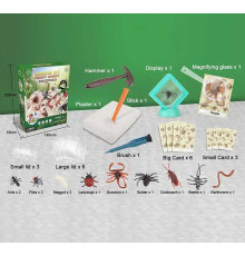 Розкопки G 504 (36) “Комахи”, гіпсовий блок, інструменти, лупа, картки, в коробці