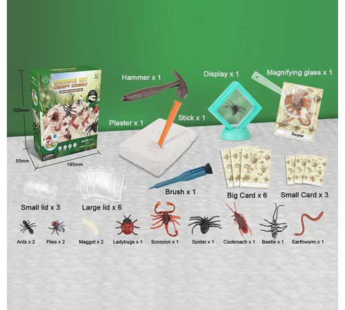 Розкопки G 504 (36) “Комахи”, гіпсовий блок, інструменти, лупа, картки, в коробці