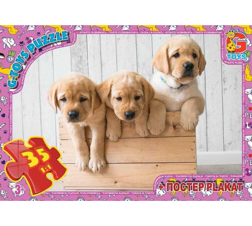 гр Пазли 35 ел. "G-Toys" "Домашні улюбленці" AN 121 (62) + постер, розмір зібраної картинки 30х21 см, в коробці – в наличии! Купите сейчас у KAZKOVA