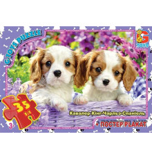 гр Пазли 35 ел. "G Toys" "Домашні улюбленці" AN 143 (62) +постер