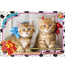 гр Пазли 35 ел. "G Toys" "Домашні улюбленці" AN 144 (62) +постер