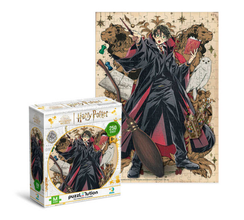 гр Пазл Easy-M "Harry Potter. Династія чарівників. Гаррі" 250 елементів 200495 (24) "DoDo" гр Пазл Easy-M "Harry Potter. Династія чарівників. Гаррі" 250 елементів 200495 (24) "DoDo"