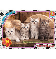 гр Пазли 70 ел. "G Toys" "Домашні улюбленці" AN 146 (62) +постер