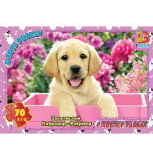 гр Пазли 70 ел. "G Toys" "Домашні улюбленці" AN 147 (62) +постер