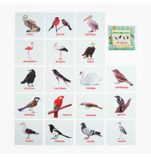 гр Картки міні (18 карток) "Хто у небі літає" 9789669753700 (40) "Jumbi"