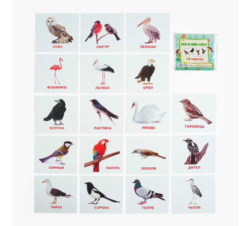 гр Картки міні (18 карток) "Хто у небі літає" 9789669753700 (40) "Jumbi"