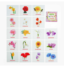 гр Картки міні (18 карток) "Квіти" 9789669753694 (40) "Jumbi"