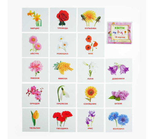 гр Картки міні (18 карток) "Квіти" 9789669753694 (40) "Jumbi"