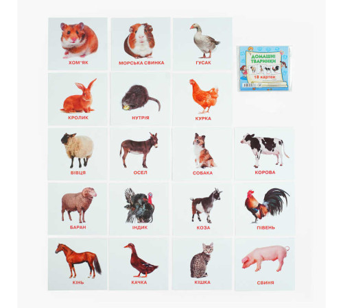 гр Картки міні (18 карток) "Домашні тварини" 9789669753687 (40) "Jumbi"