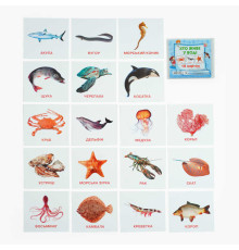 гр Картки міні (18 карток) "Хто у воді живе" 9789669754868 (40) "Jumbi"