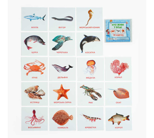 гр Картки міні (18 карток) "Хто у воді живе" 9789669754868 (40) "Jumbi"