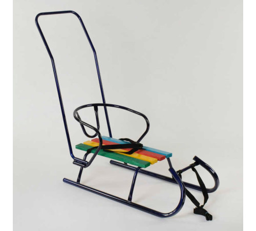 гр Сани "Санта" - КОЛЬОРОВІ, колір синій / З РУЧКОЮ /