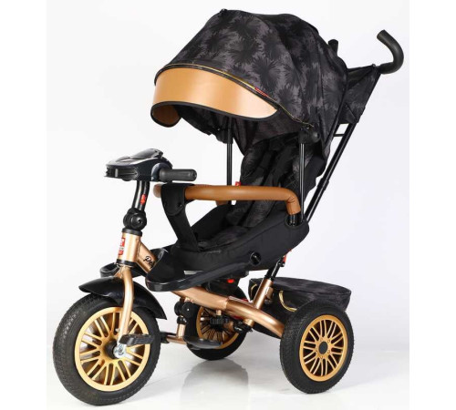 Велосипед 3-х кол. 8066 / 380-29 BestTrike "Perfetto" Велосипед 3-х кол. 8066 / 380-29 BestTrike "Perfetto"