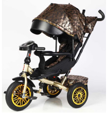 Велосипед 3-х кол. 8066 / 819-40 BestTrike "Perfetto"